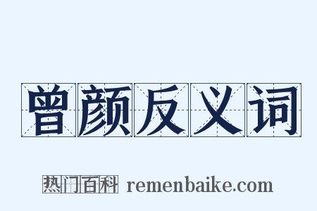 曾颜反义词是什么意思的图片